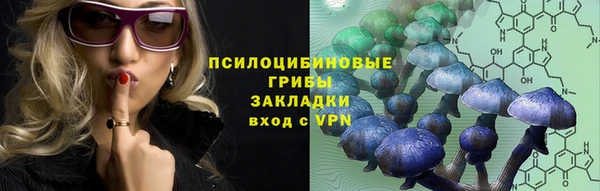 хмурый Нягань