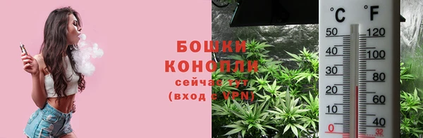 ECSTASY Няндома