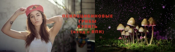 ECSTASY Няндома