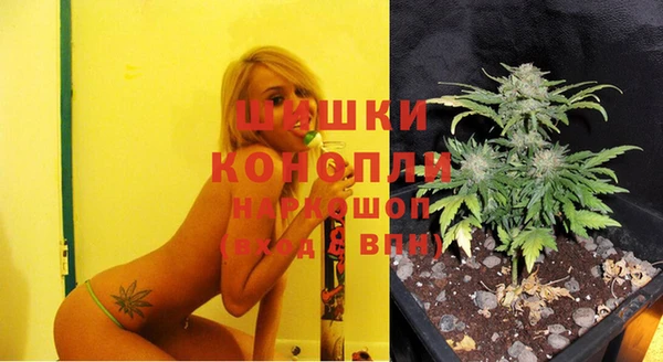 ECSTASY Няндома