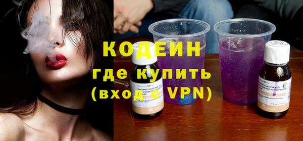 ECSTASY Няндома