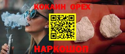 шишки Дубна