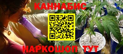 шишки Дубна