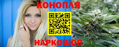 шишки Дубна