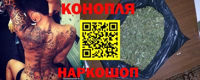 шишки Дубна
