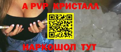 шишки Дубна