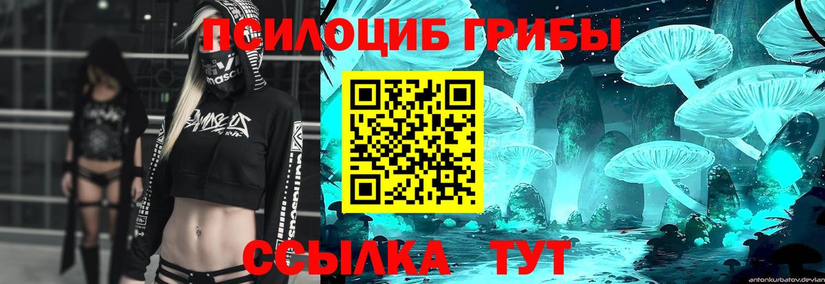 Галлюциногенные грибы прущие грибы Кстово